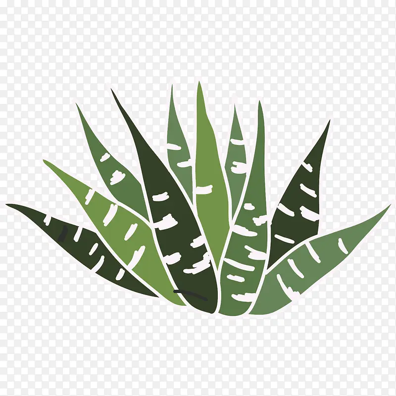 �ֻ�ֲ��-������