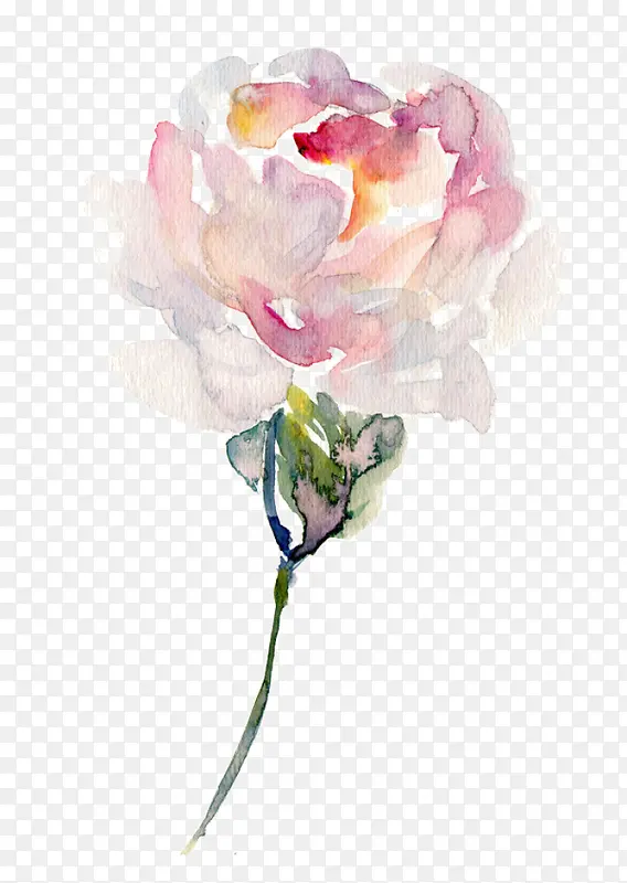 �ʻ�ֲ��-������