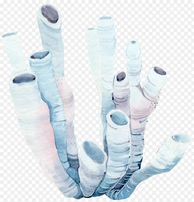 �ֻ�ֲ��-������