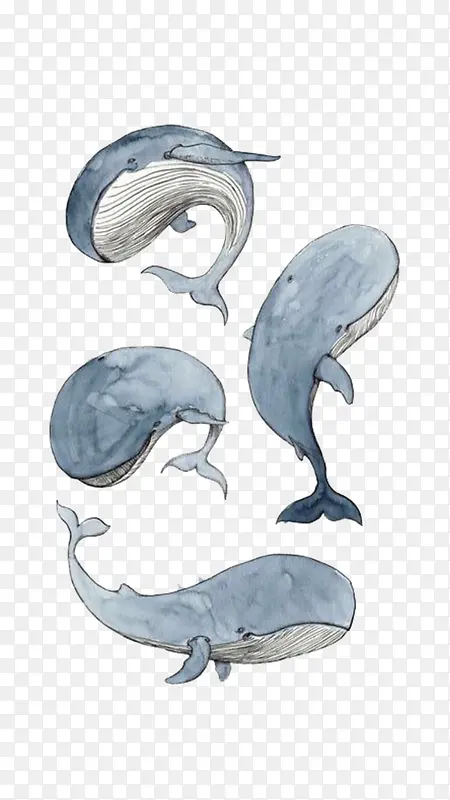 �ֻ澨��-������