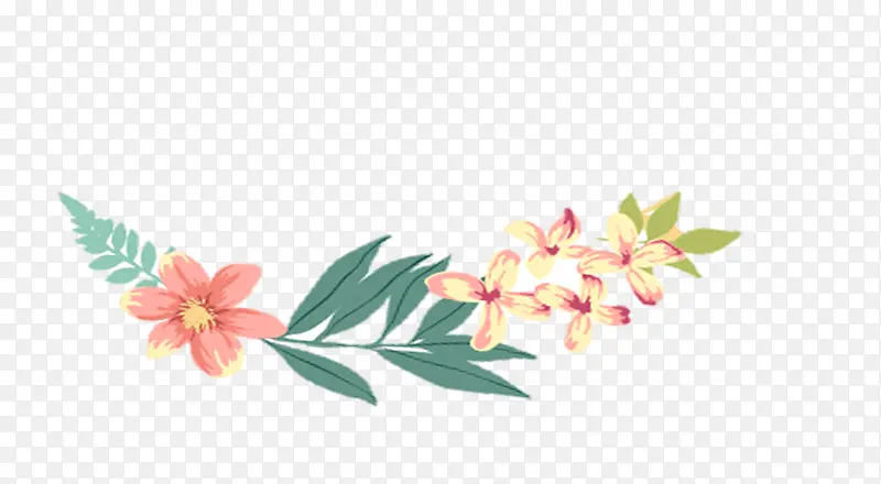 �ֻ�ֲ��-������