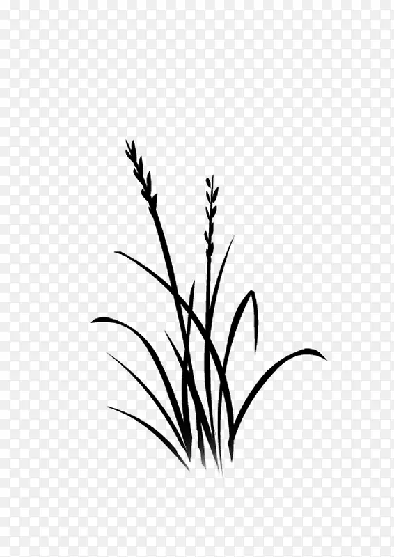 �滭ֲ�� С��  �ڰ�-������