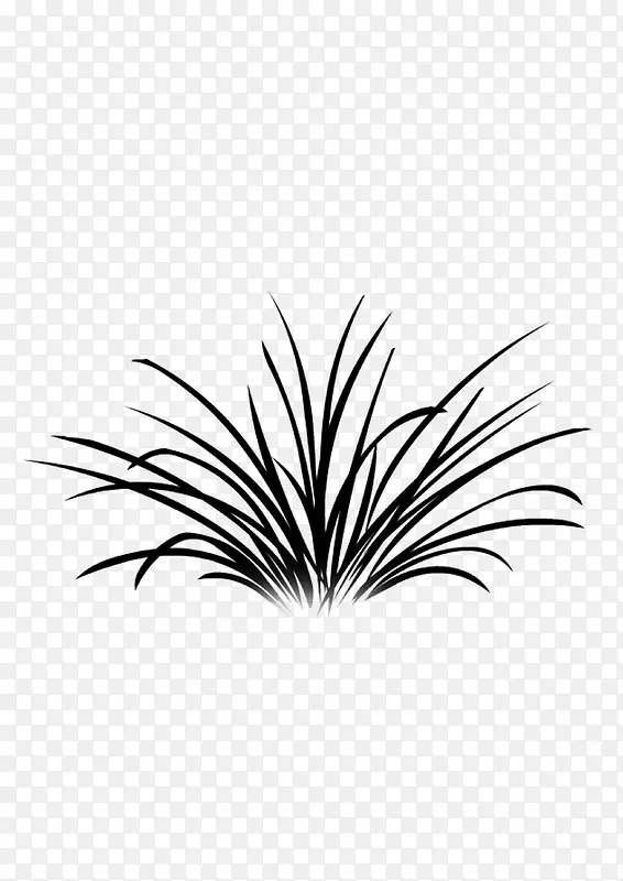 �滭ֲ�� С��  �ڰ�-������