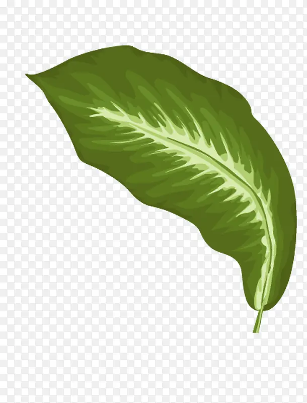 �ֻ�Ҷ��-������