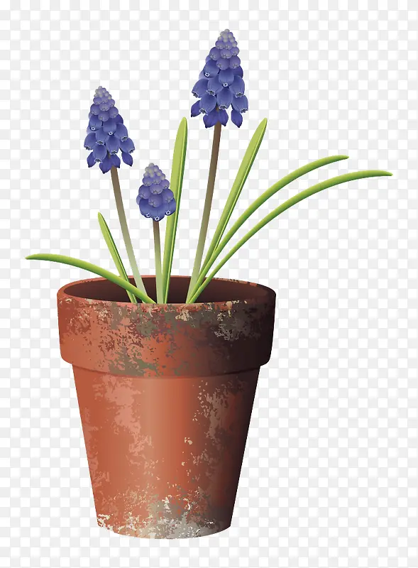 ��ͨ�滭޹�²ݻ���-������