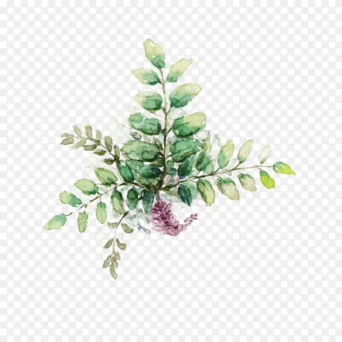 �ֻ�ֲ��-������