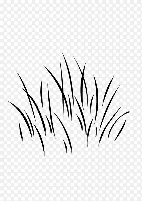 �滭ֲ�� С��  �ڰ�-������