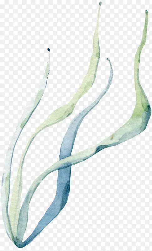 �ֻ�ֲ��-������