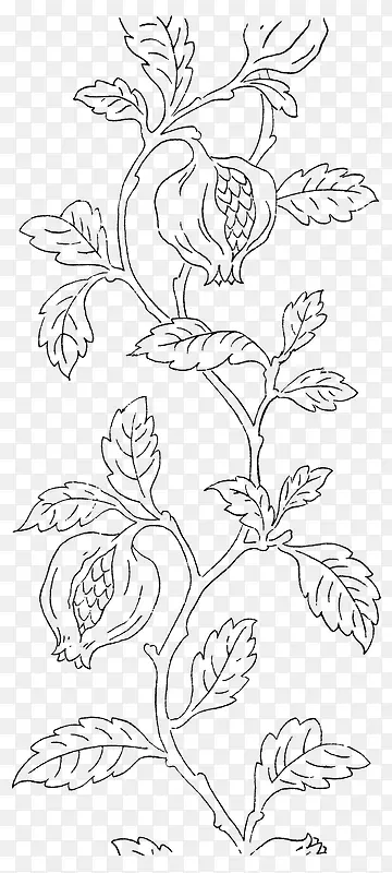 �ֻ�ֲ��-������