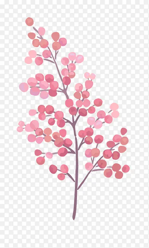 �ֻ�ֲ��-������