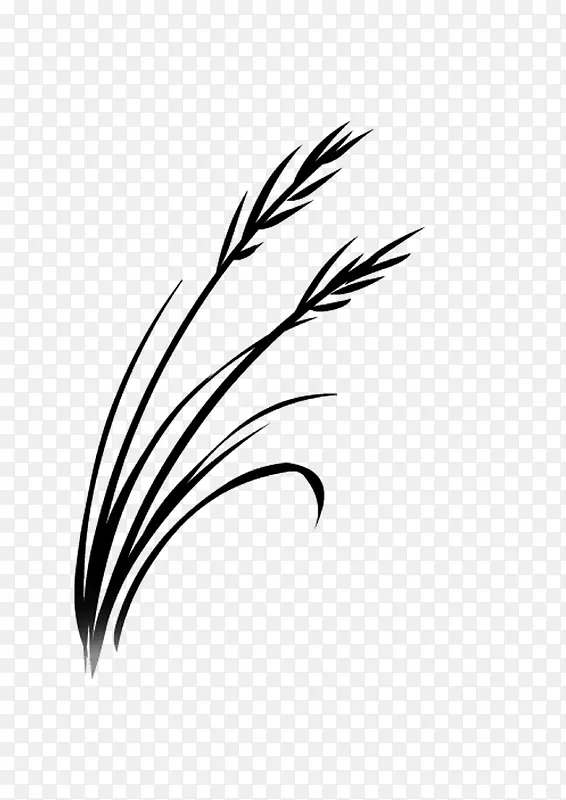 �滭ֲ�� С��  �ڰ�-������