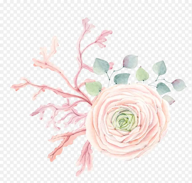 �ֻ�ֲ��-������