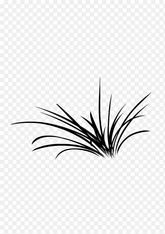 �滭ֲ�� С��  �ڰ�-������