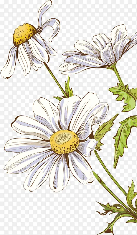 �ֻ滨��-������