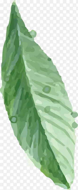 �ֻ�С����Ҷ��-������