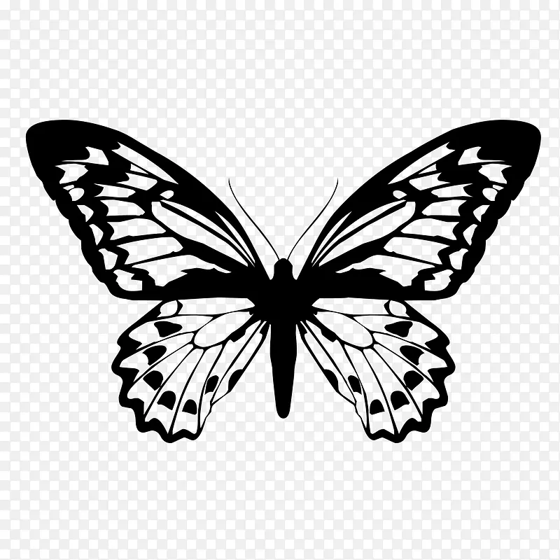 �ֻ����-������