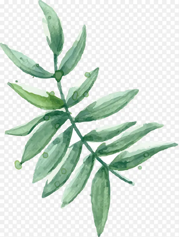 �ֻ�С����Ҷ��-������