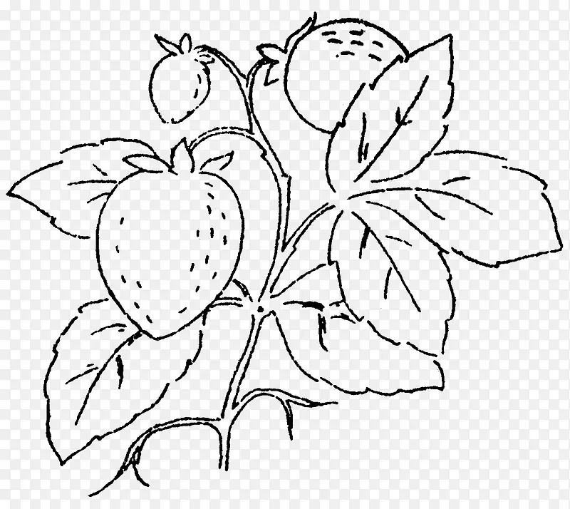 �ֻ�ֲ��-������