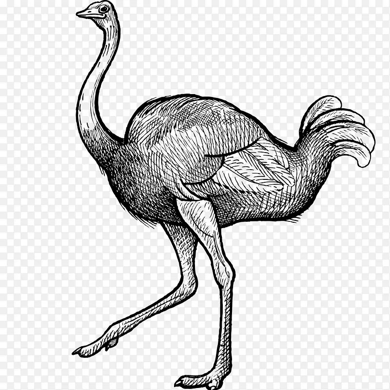 �ֻ�����-������