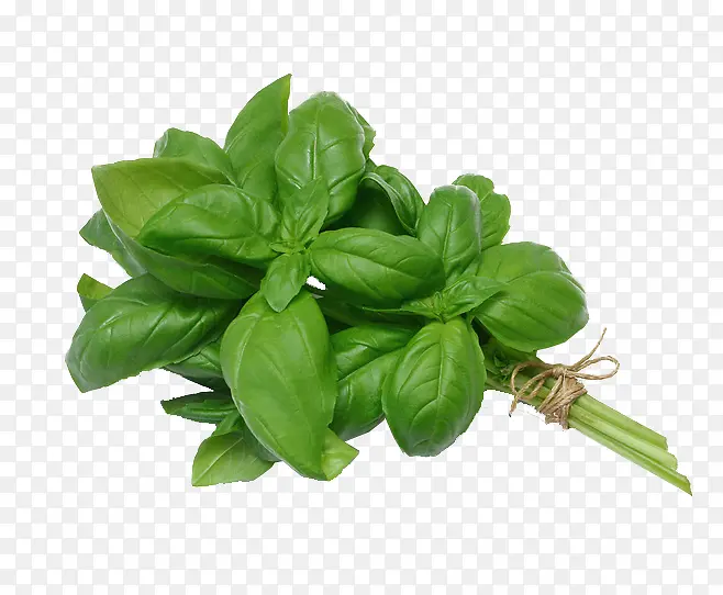 �߲�-������