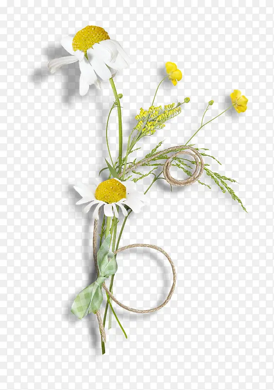 װ��ͼƬ�ֻ�ͼƬ-������