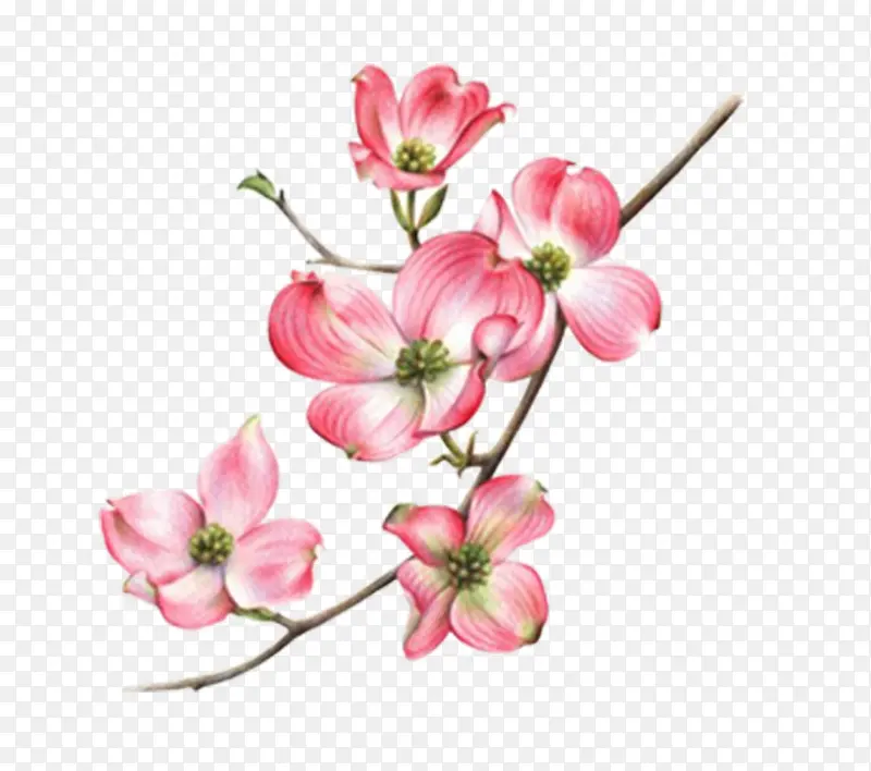 ��ͨ�ֻ��ز�ͼƬ-������