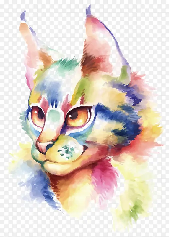 ʸ��ˮ��è��-������