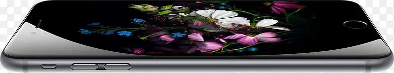 ��ɫʱ��ƻ���ֻ�-������