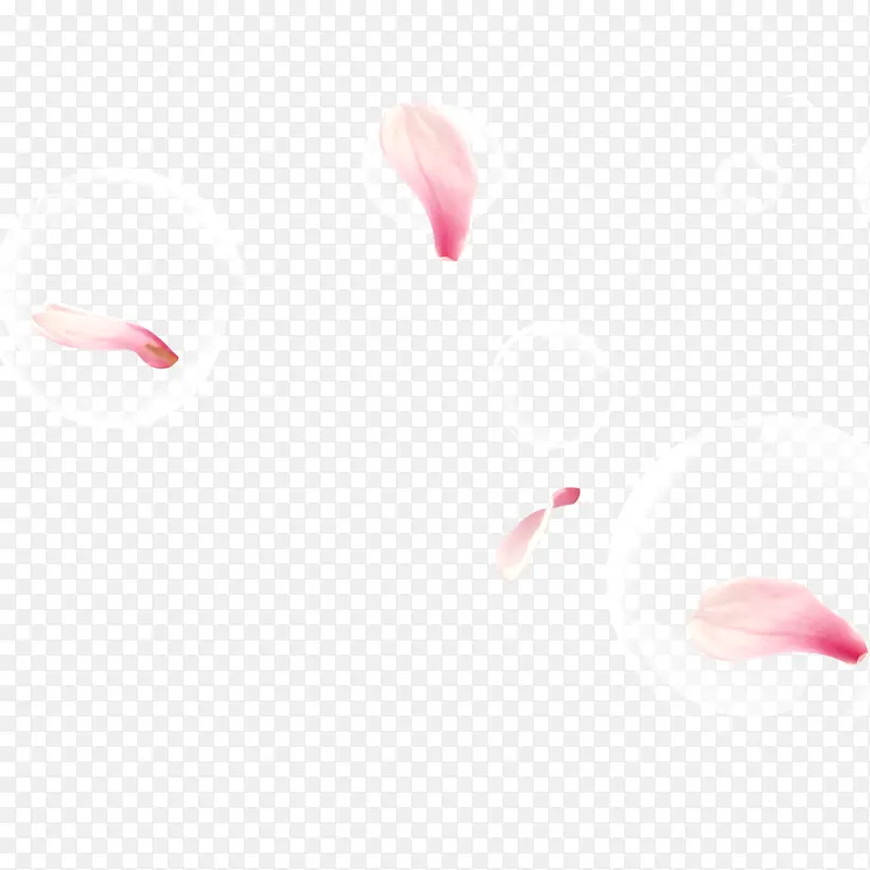 ����Ư��-������