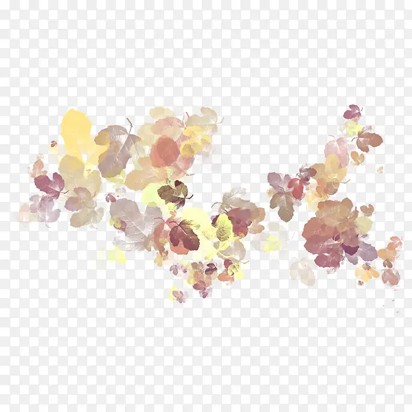 ˮ��Ҷ��-������