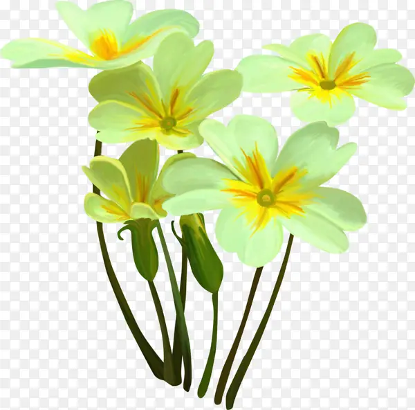 ˮ���ʻ�-������