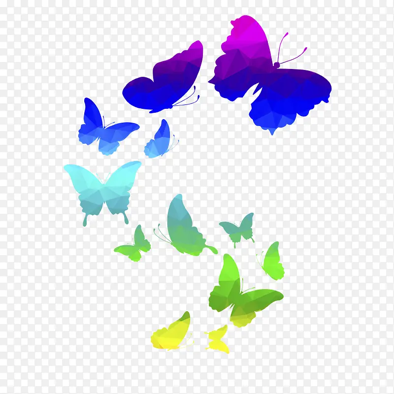 ��ɫ����-������