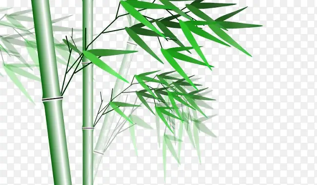 ��ͨ��ҶͼƬ��ͨ��Ҷ�ز� -������