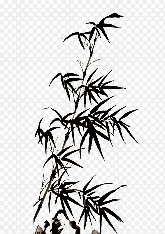 ������Ҷ����-������