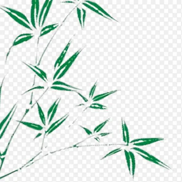 ˮ����Ҷ-������