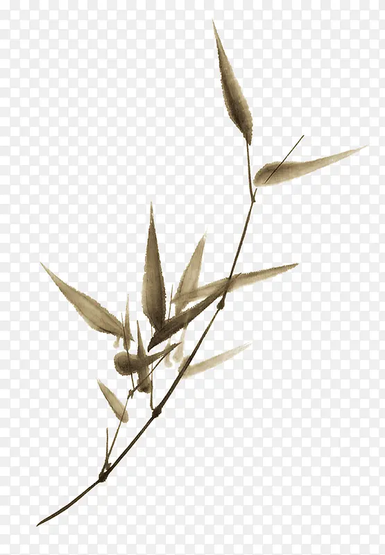 ˮ��ˮī�ϳ���Ҷ-������