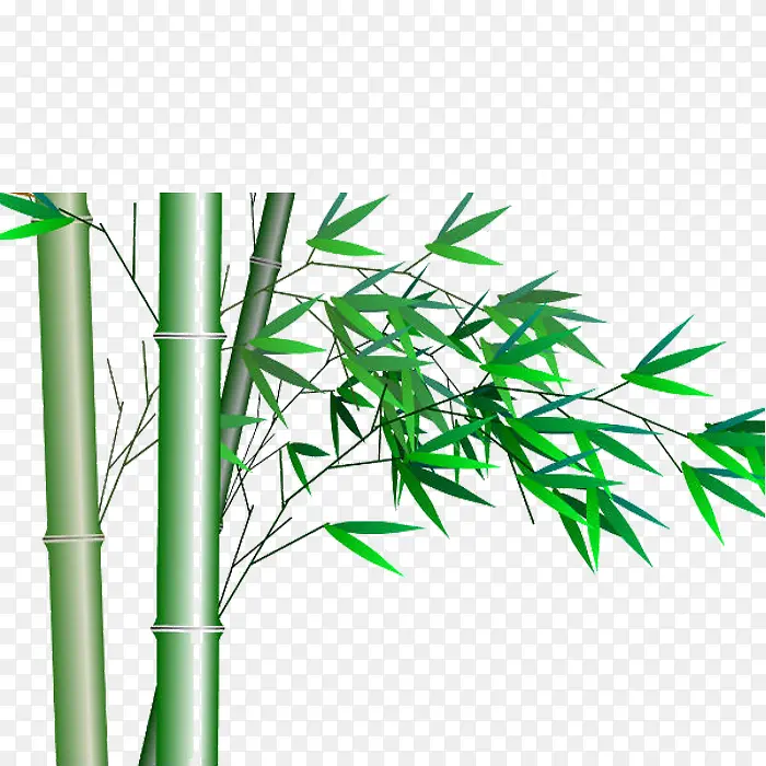 �ֻ����� ��Ҷ-������