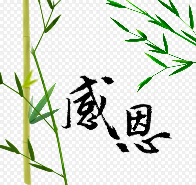 �ж������ز�-������