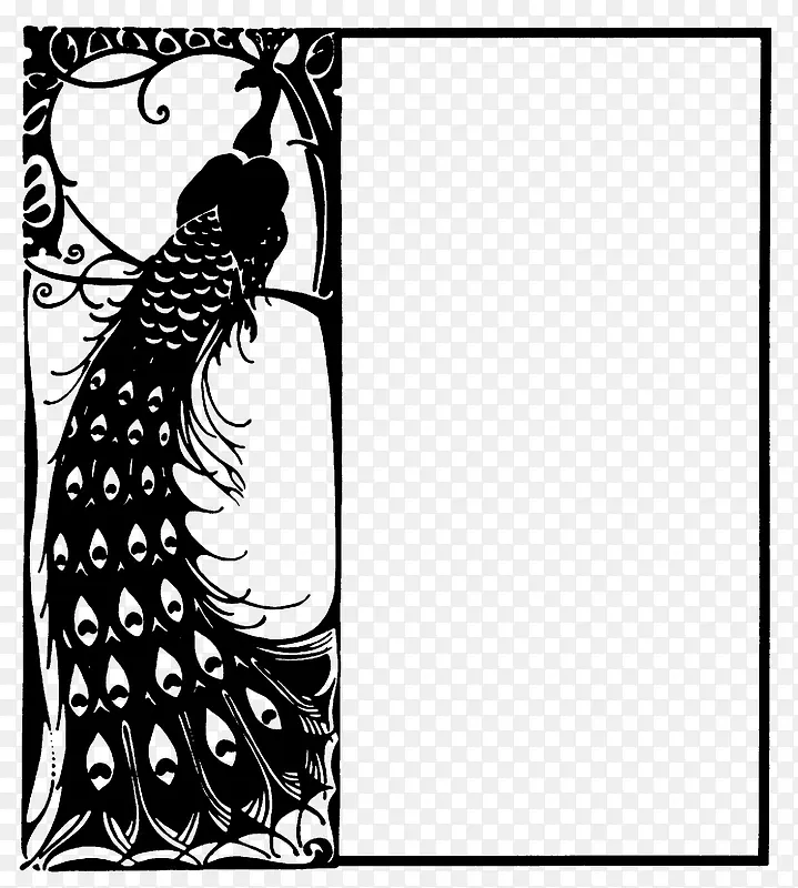 �ֻ�ī���߿�-������