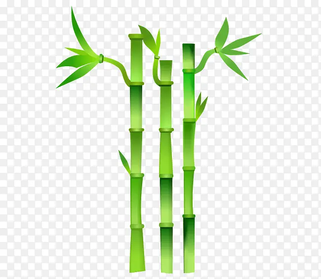 ʸ�� ��ͨ�ֻ� ��ɫ ����-������