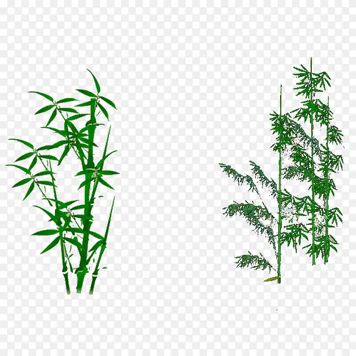 ��ͨ����-������