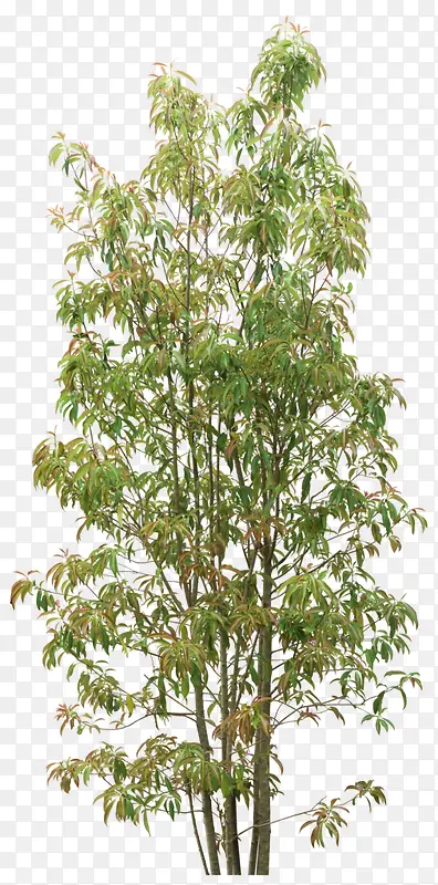 �������Ӹ�����Ӱ-������