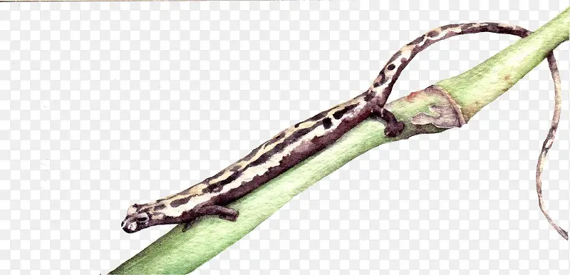 ������Ӱ�����������ϵĶ���-������