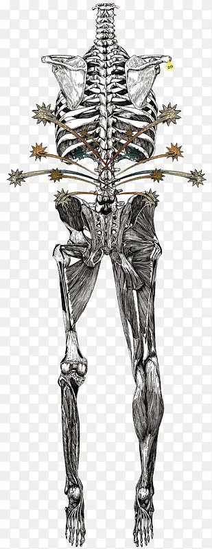 �ڰ׹����廭-������