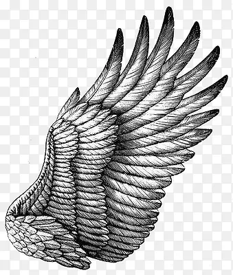 �ֻ���-������