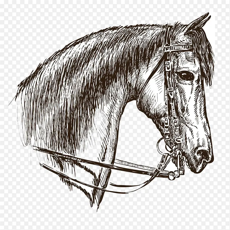 �ֻ���ͷ-������