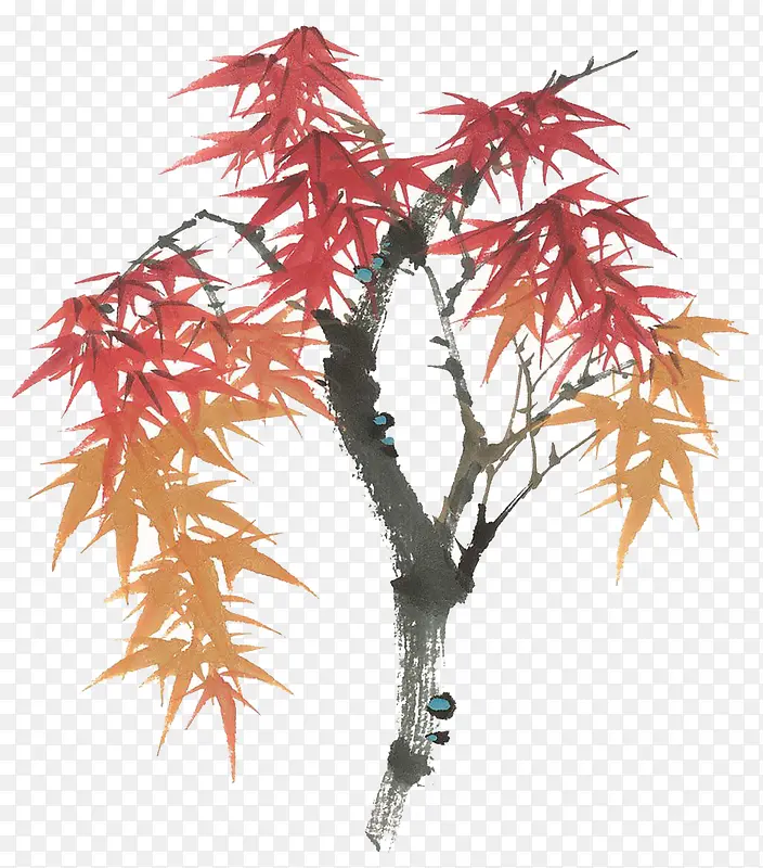 �ֻ�ֲ��-������