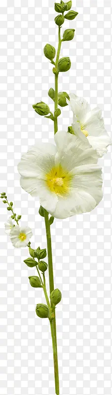 ��ͨ�ŷ��زĹŷ����μ�Ӱ-������