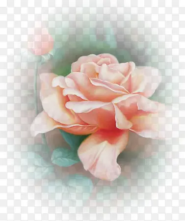 �ŷ����������ֻ�װ��ͼƬ-������