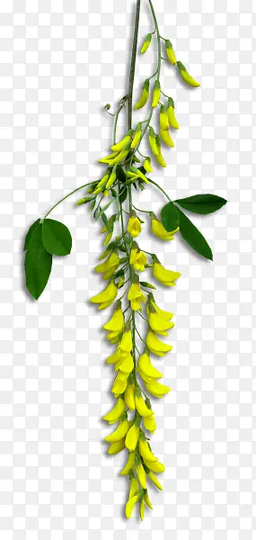 �ŷ�װ�ο�ͨ�ֻ�ŷ�װ��-������